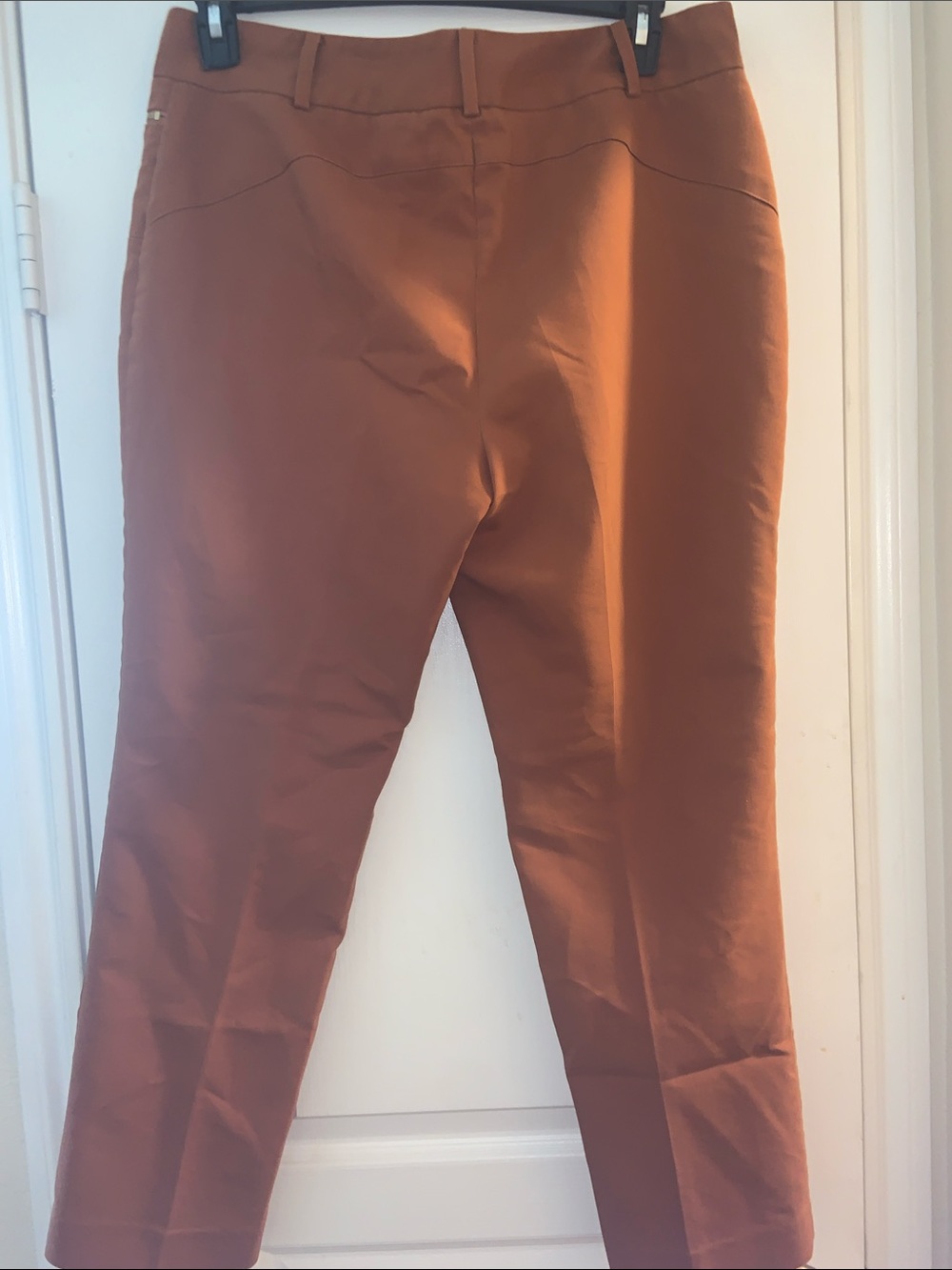 Chaus Rust Straight-Leg Ponte Pants with Zip Accents - Picture 5 of 8